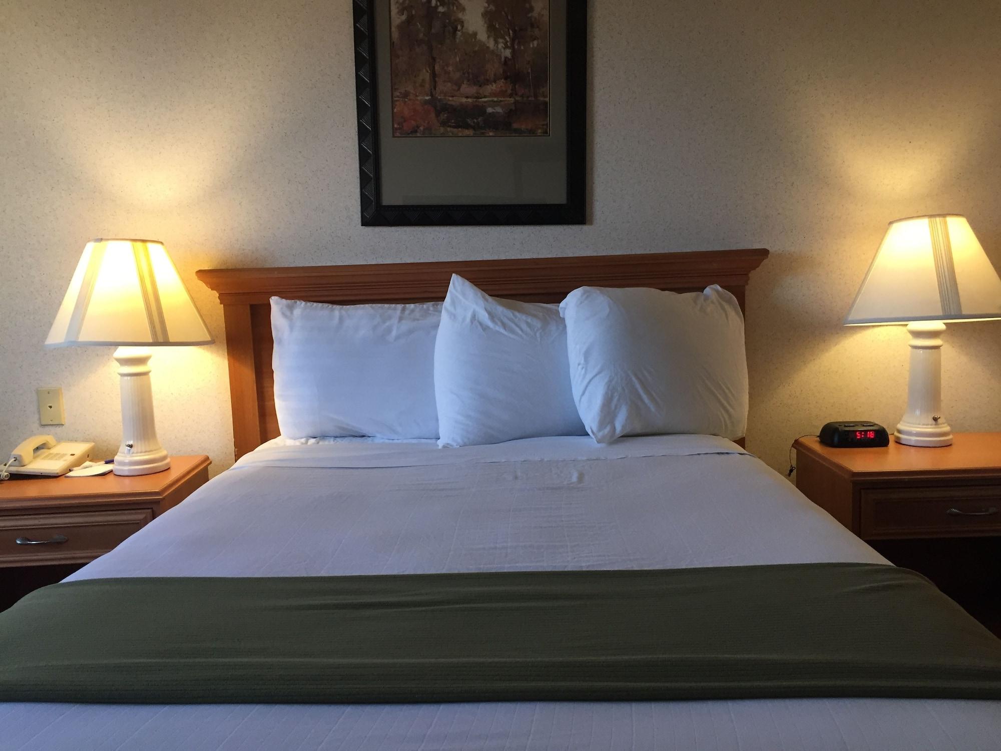 Quality Inn & Suites Уиллоус Экстерьер фото